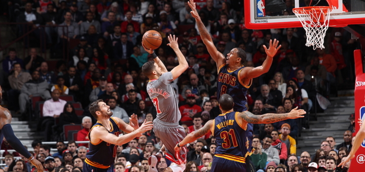 bulls