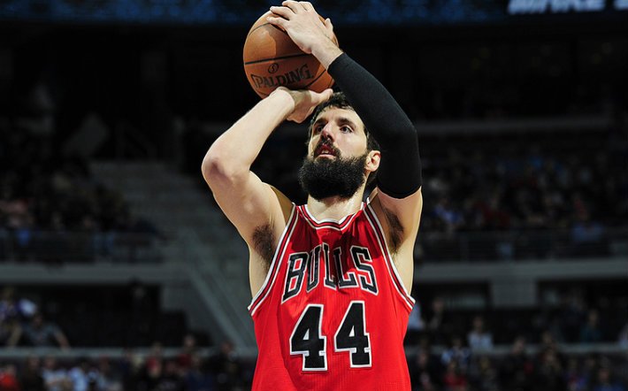 mirotic-bulls