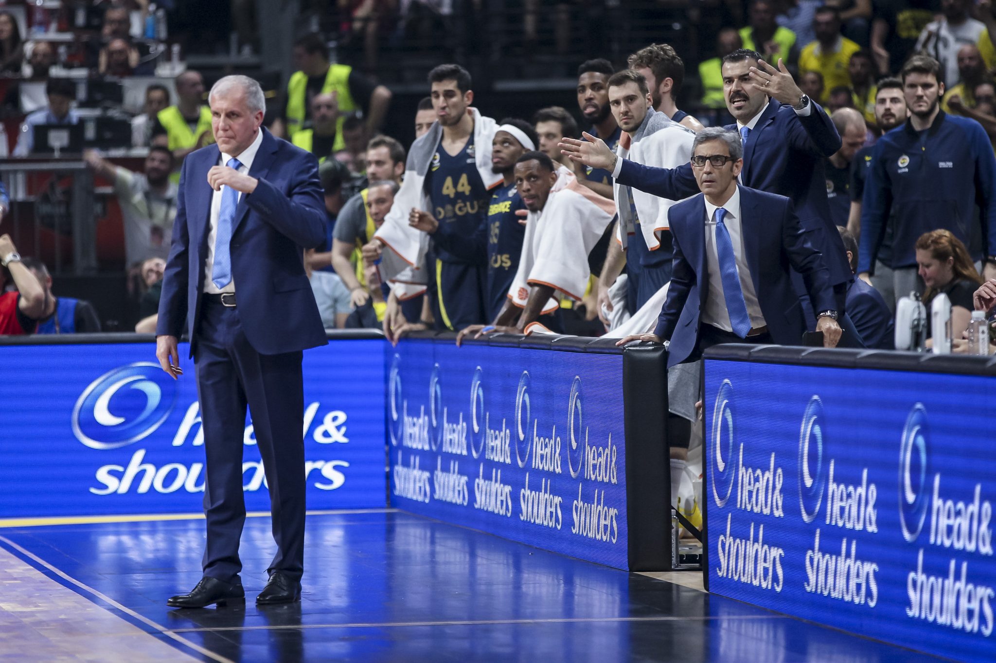 obradovic