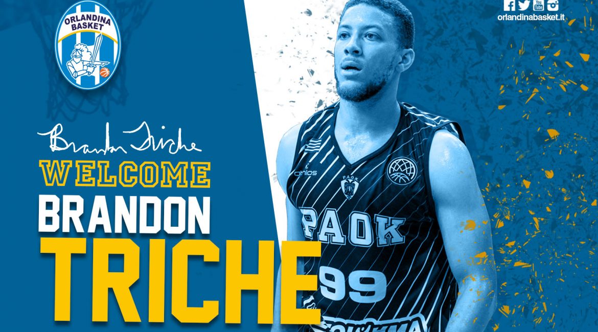 web_triche-1170x650