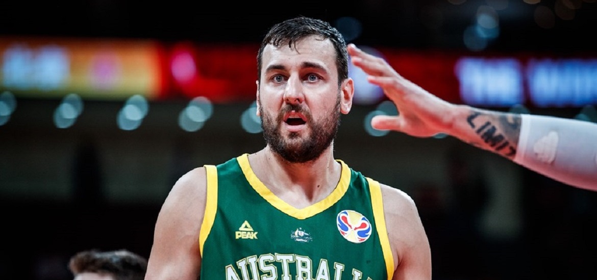 Andrew Bogut