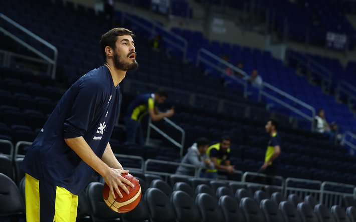 kalinicfener
