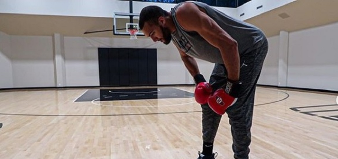Rudy Gobert
