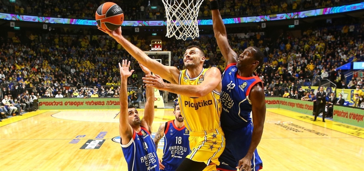 zizic