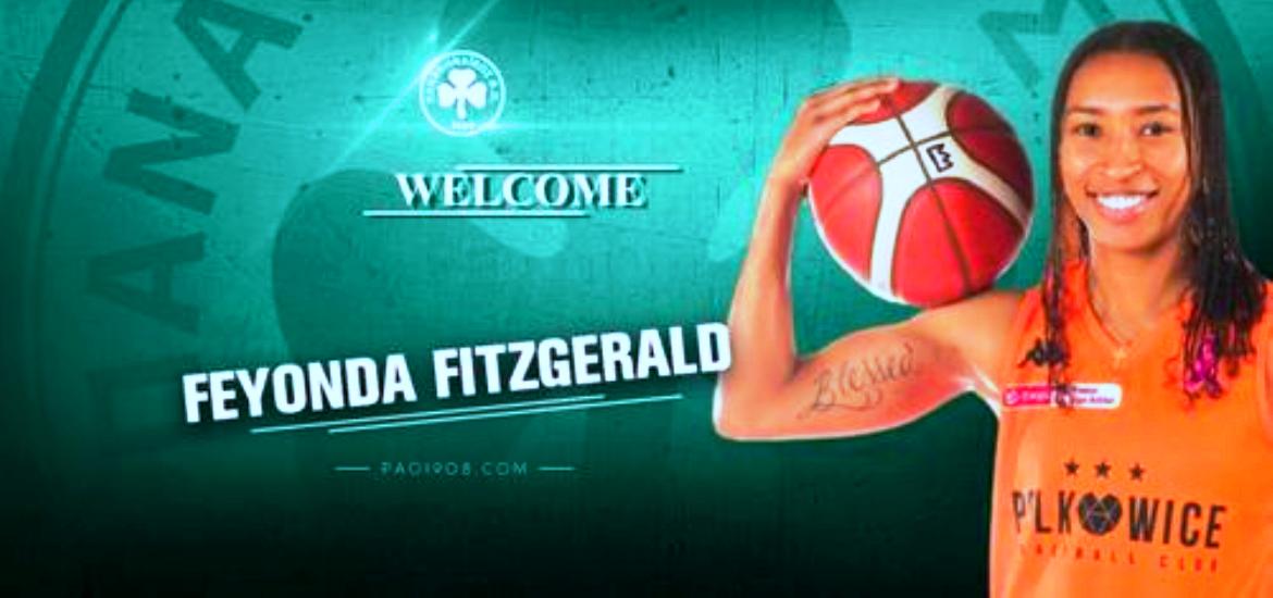 fitzerland-pao-afisa