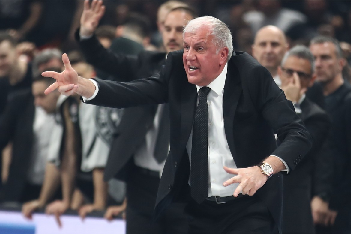 obradovic (1)