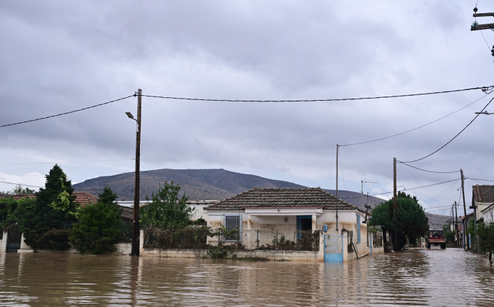 karditsa-daniel-1