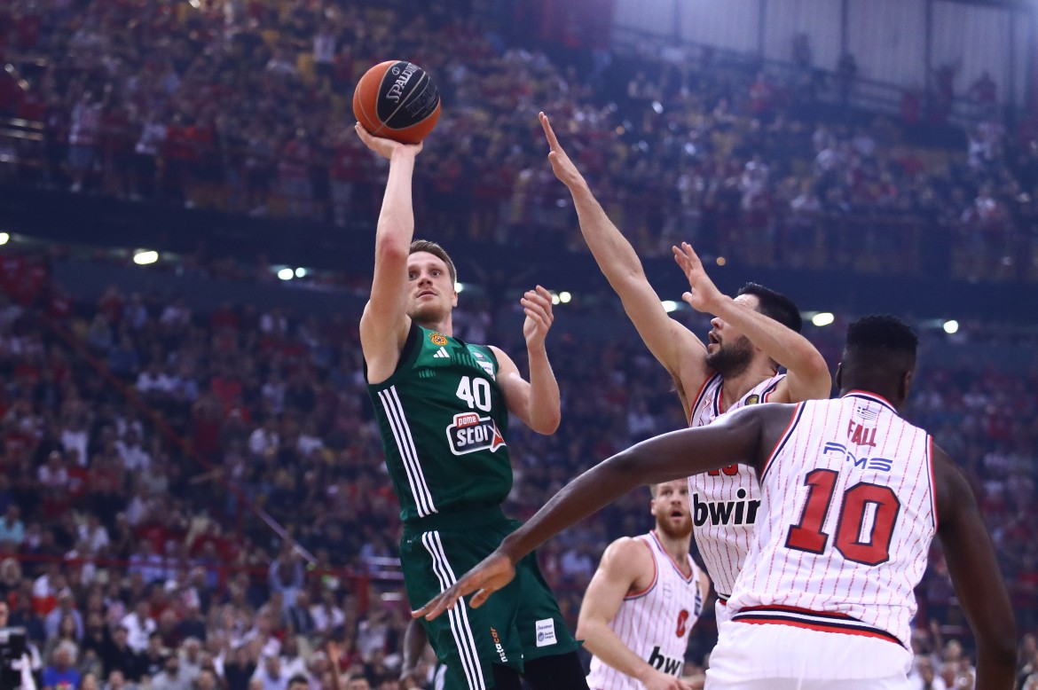 grigonis-oly-pao
