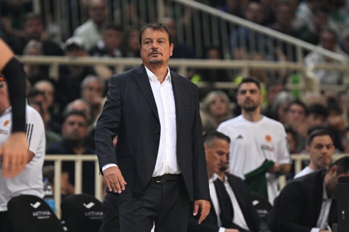 ataman-pao-bologna