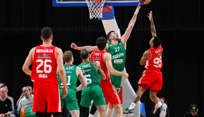 cedevita crvena zvezda