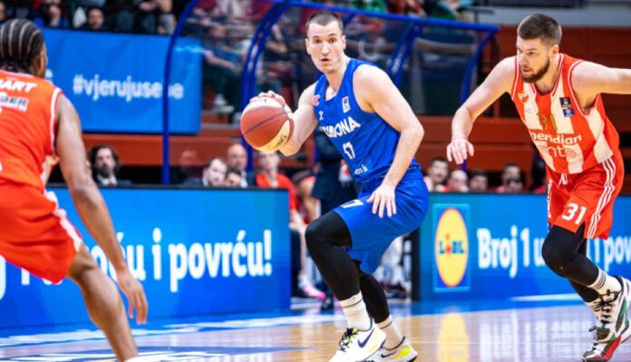 cibona crvena zvezda