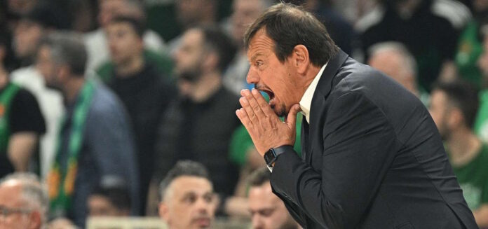 Αταμάν Ergin Ataman
