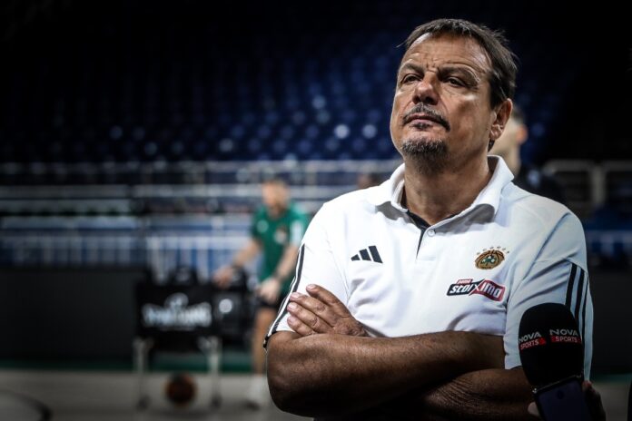 ataman (1)