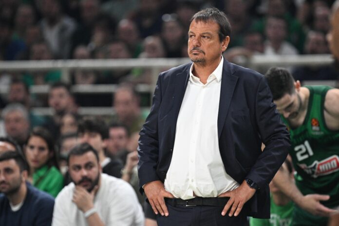 ataman-pao-maccabi
