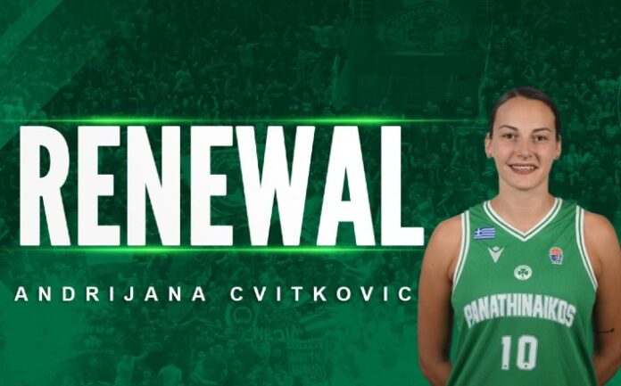 cvitkovic-pao