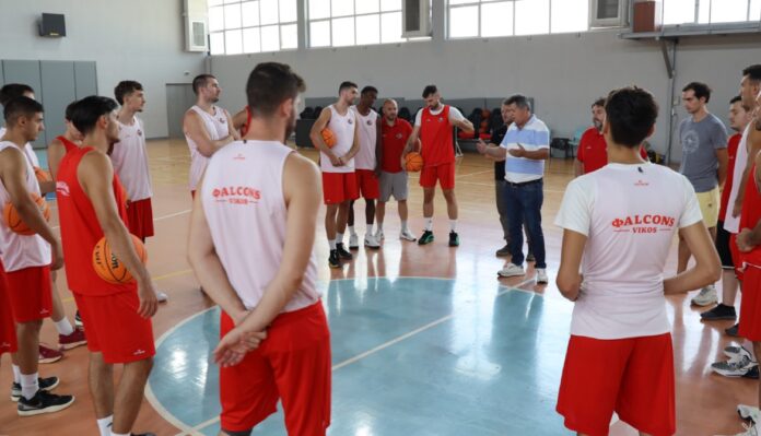 vikos ioanninon proetoimasia