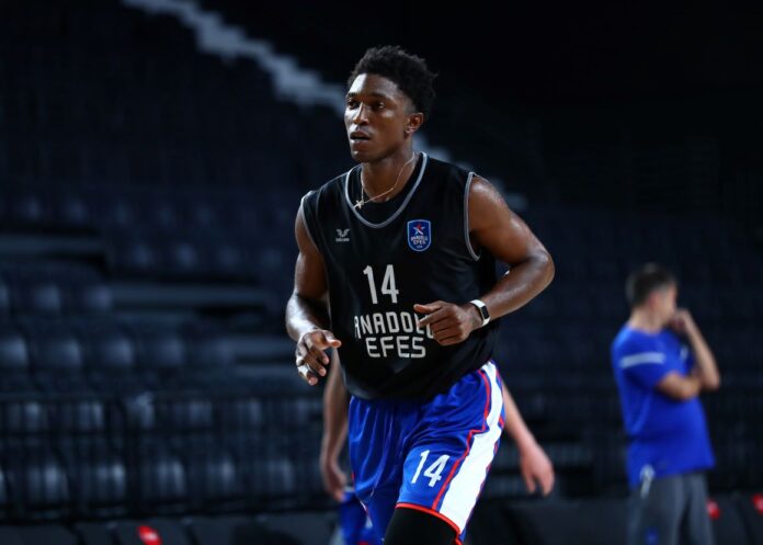 Stanley Johnson EFES
