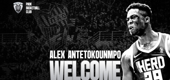Alex Antetokounmpo