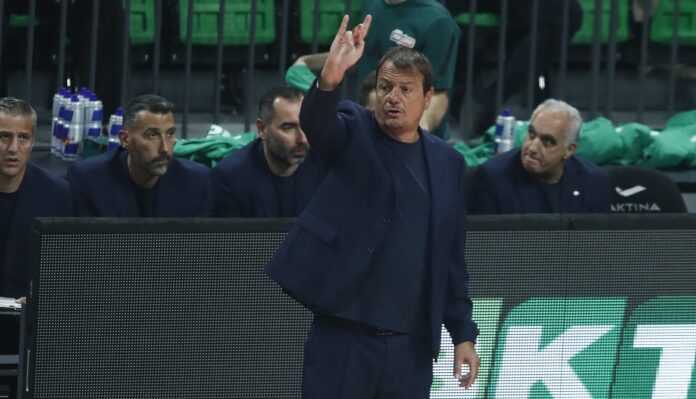 ataman oly pao-2