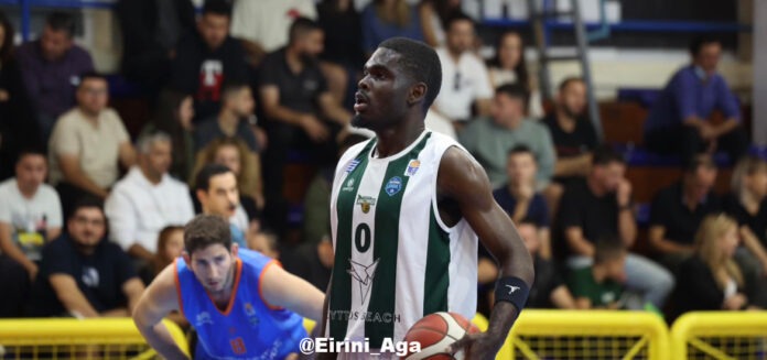 elame-anagennisi-arkaloxoriou-amyntas