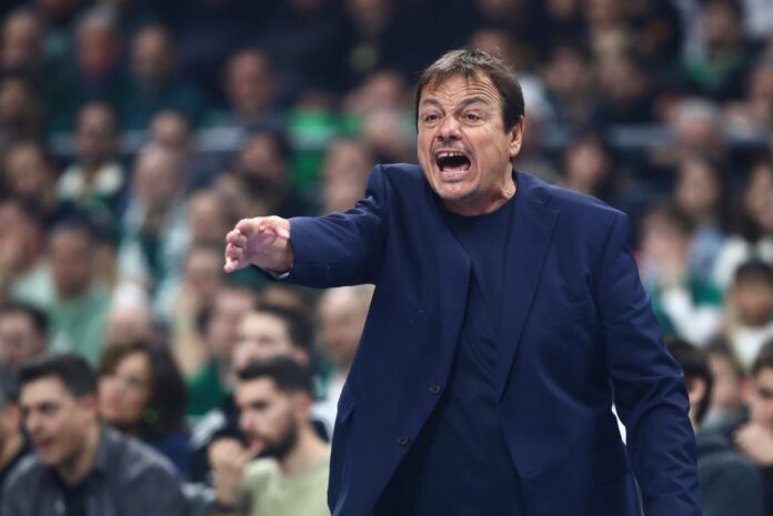 ataman-pao-bologna