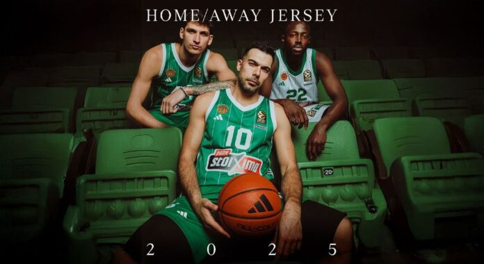 pao-jercey