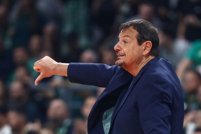 Ataman PAO-Efes