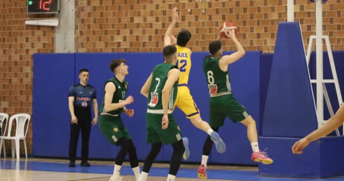 panathinaikos kaox