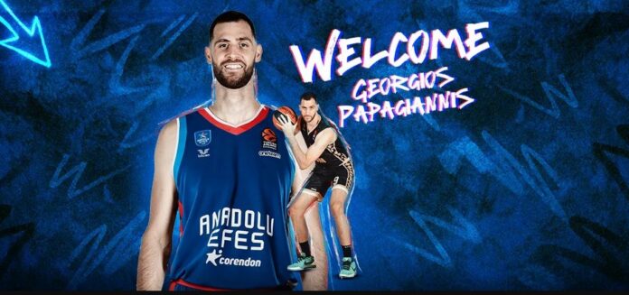 Papagiannis Efes