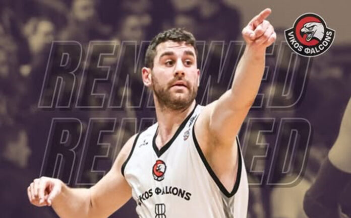 gravas-vikos-ananeosi