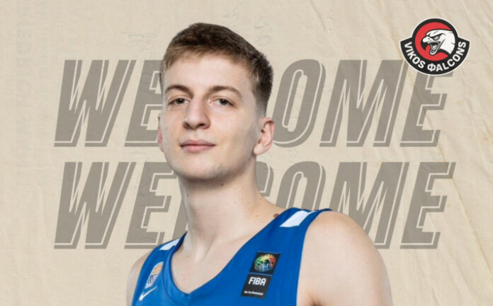 vasileiou-nikos-vikos-welcome