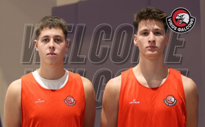 xrysanthakis-ntoumas-vikos-ioanninon