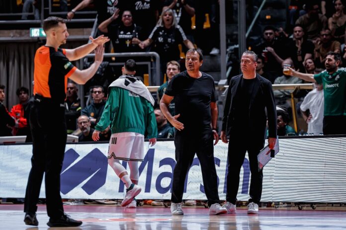 ataman-apovoli-bologna-2