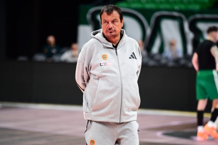 ataman proponisi valencia